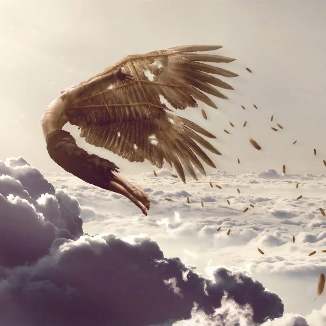 Летающий человек. Крылья в небе. Птица свободы. Человек птица.