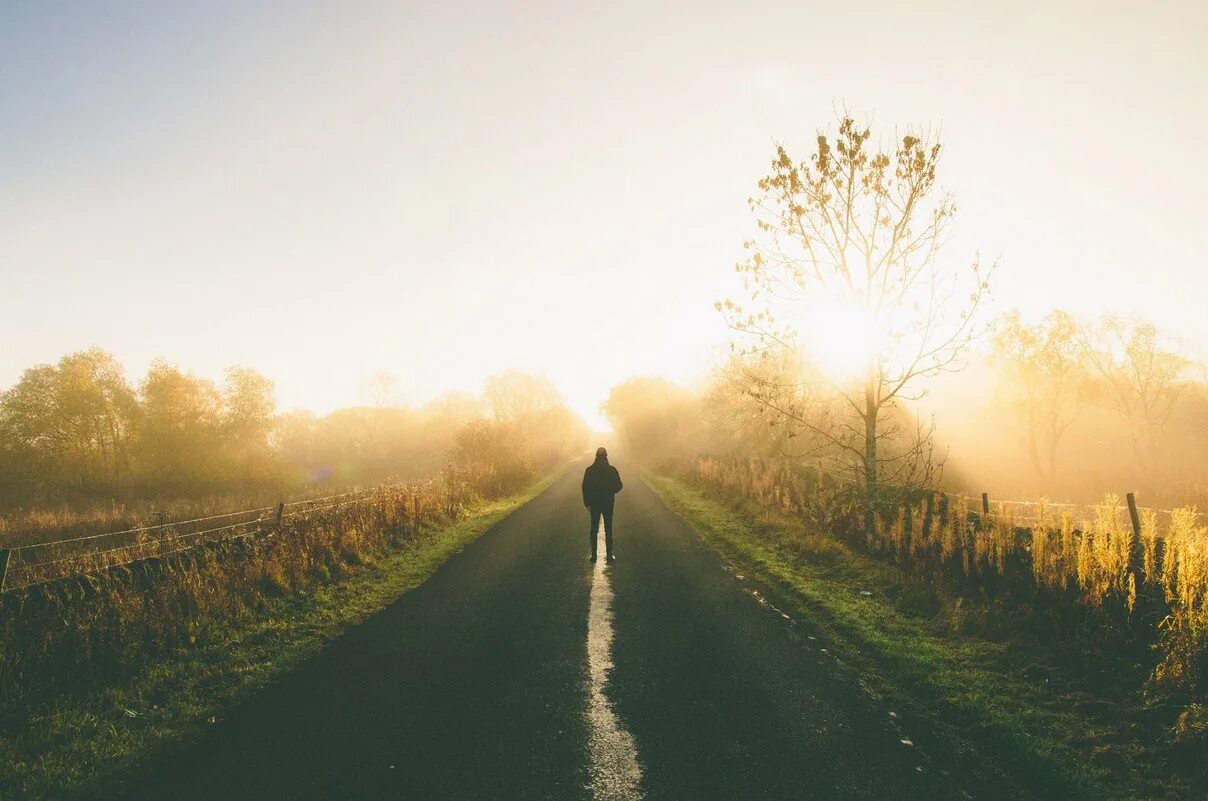 Шагая своей дорогой. Daniel Casson morning Sun. Дорога к небу. Дорога картинка. Лучи солнца.