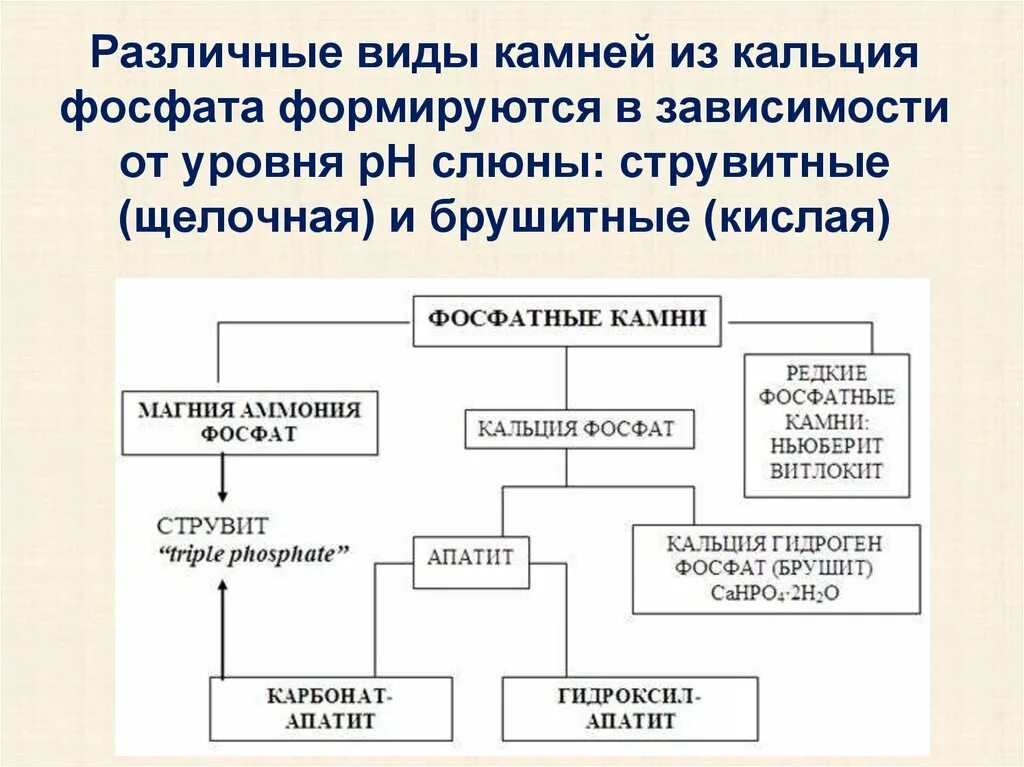 Фосфат кальция зубы. Кальций и фосфор в слюне. кальций в слюне. фосфаты в слюне. роль кальция в слюне.