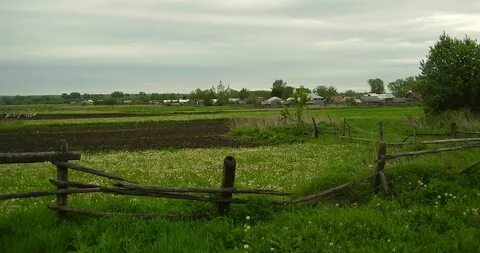 Село старое поле