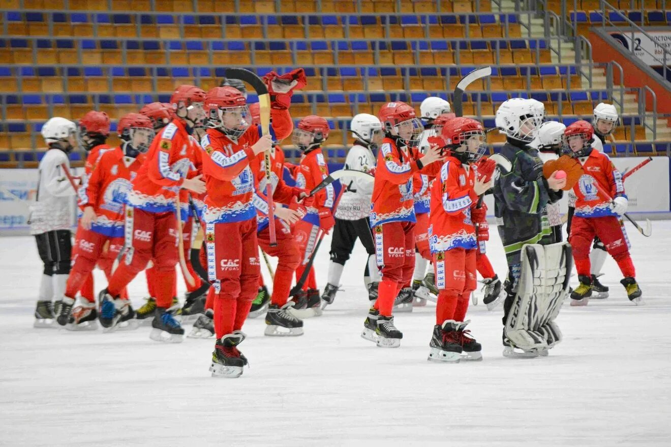 СДС хоккей с мячом 2011. Хоккей с мячом Россия. Хоккей с мячом фото. Плетеный мяч для хоккея с мячом.