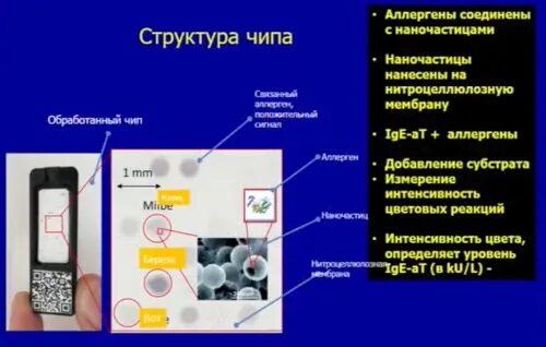 Алекс 2 тест. Из чего состоит чип. Строение чипа. Из чего состоят микрочипы. Микрочипы строение.