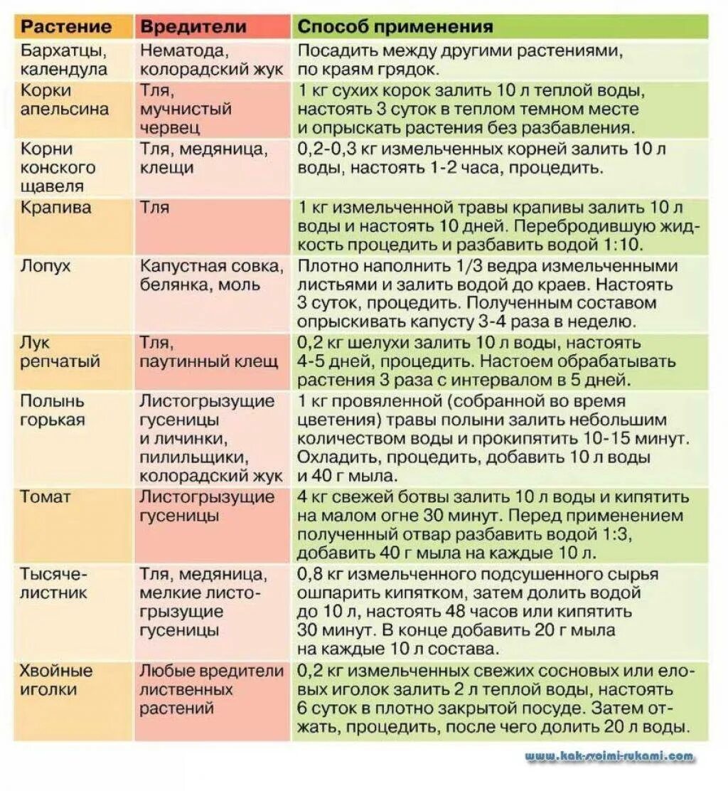 Сроки опрыскивания деревьев. Средства для опрыскивания плодовых деревьев. препараты для опрыскивания растений. весенняя обработка растений от вредителей и болезней. препараты для опрыскивания от вредителей и болезней.