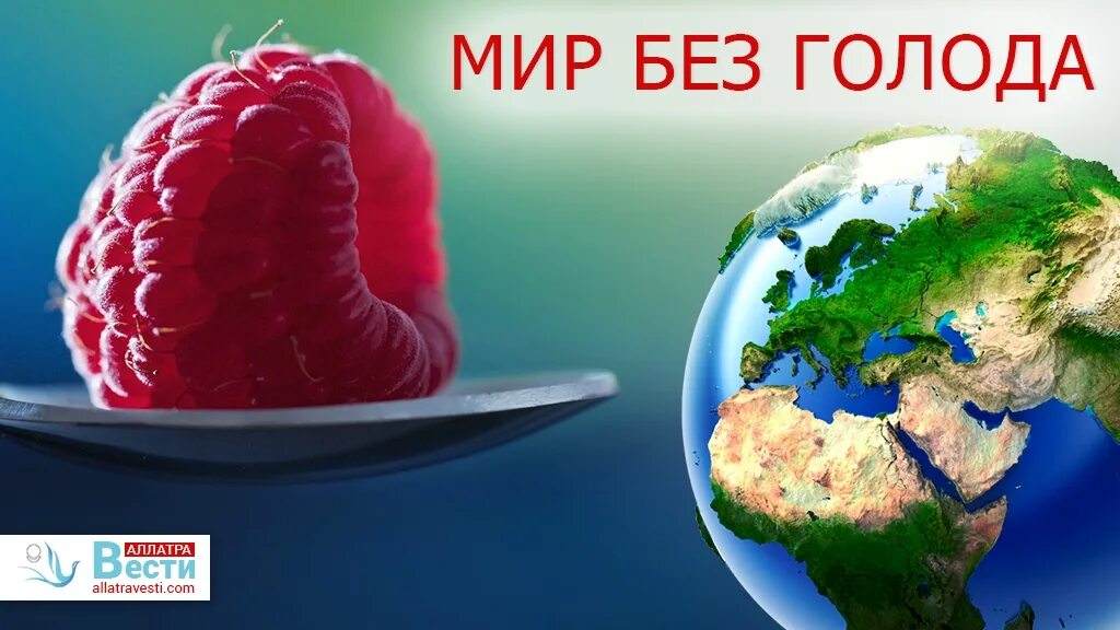 Вместе и голод. ГМО решение проблемы голода. Генетически модифицированная пища.