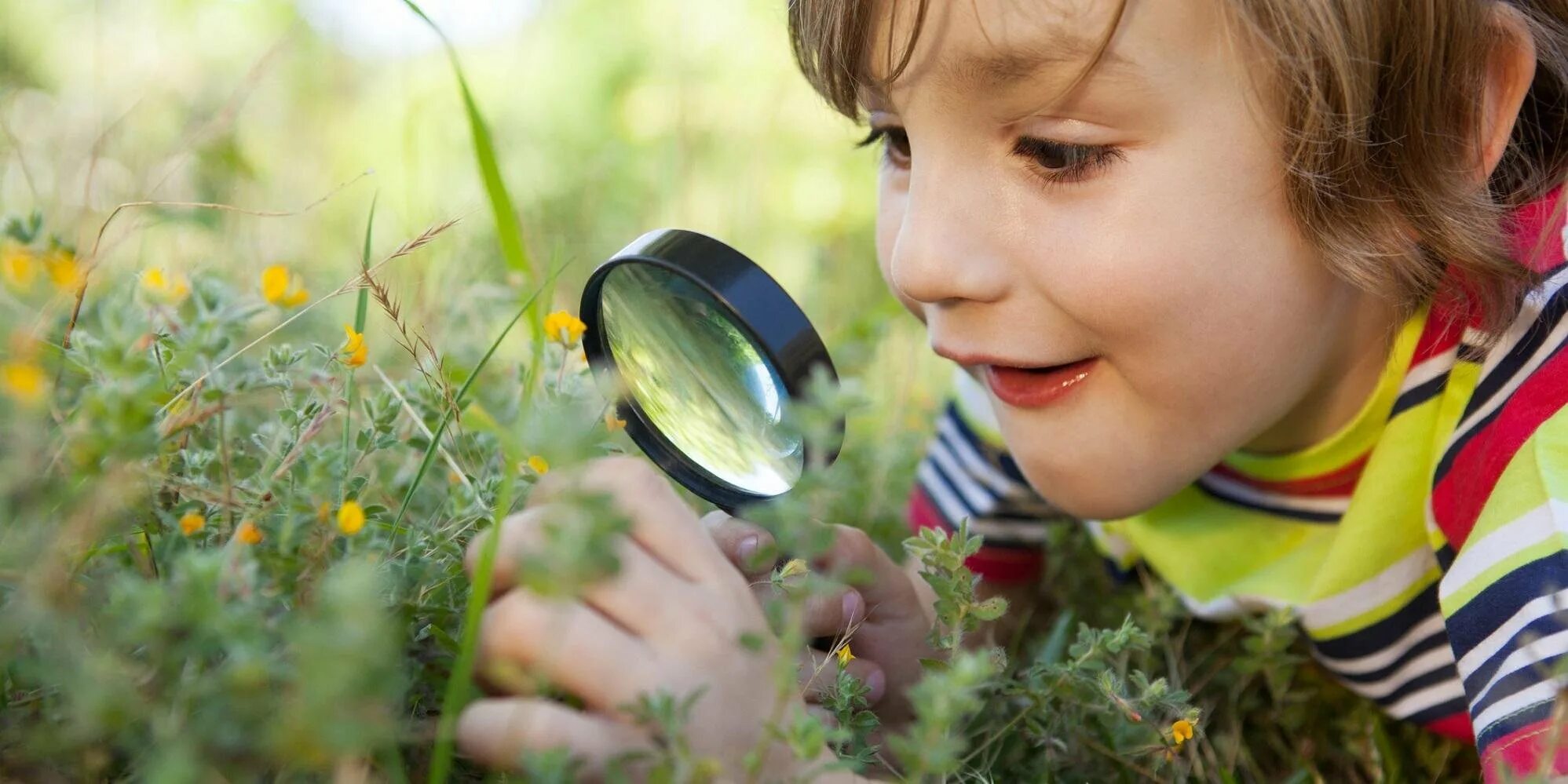 Любопытство 3. Экологическое воспитание. Экологическое воспитание детей. Изучение природы. Дети и природа.