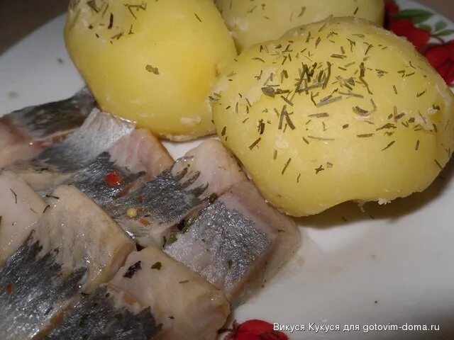 Ответы : Селедка рыба для бедных