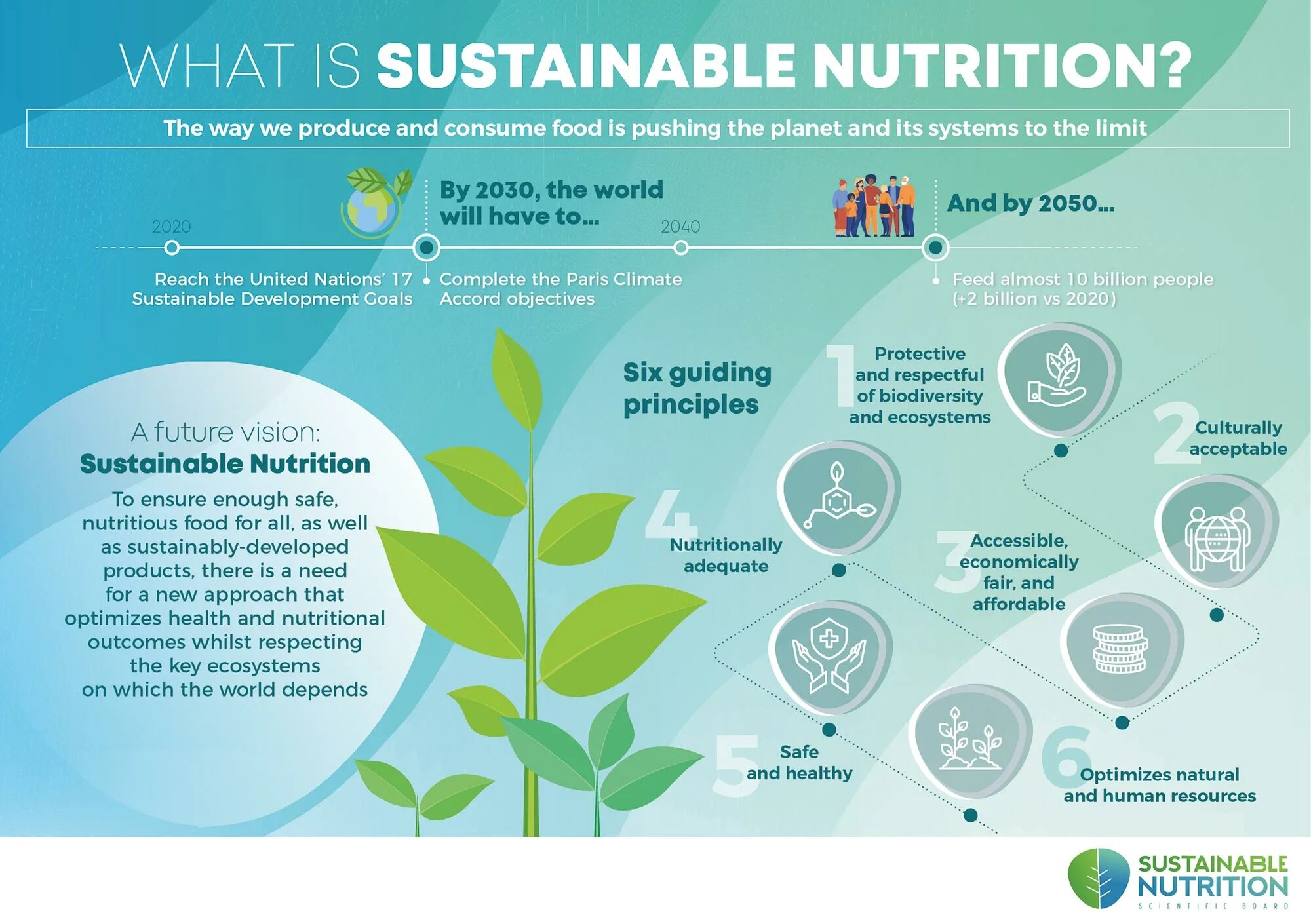 Конкурсы sustainable it. Nutrition at a glance. Andras sustainable. Sustainable food choices.