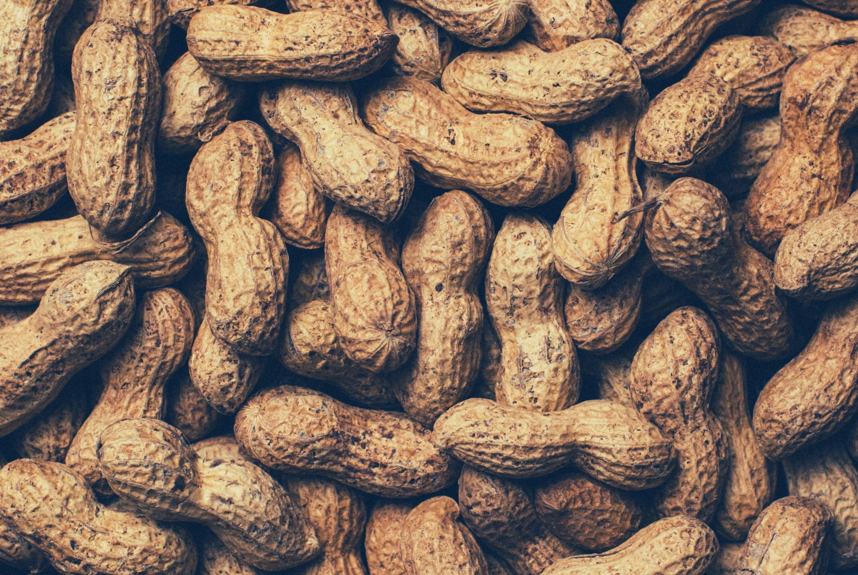 Арахис peanuts. Арахис. орехи арахис. арахис фон. арахис культурный.