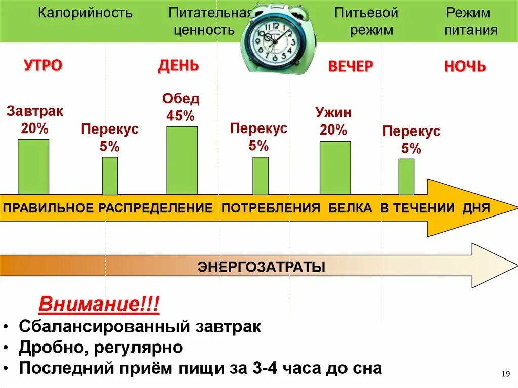 Правильное распределение калорий. Режим питания и калорийность. Калории в течении дня. Правильное распределение калорий в течение дня. Ужин сколько процентов