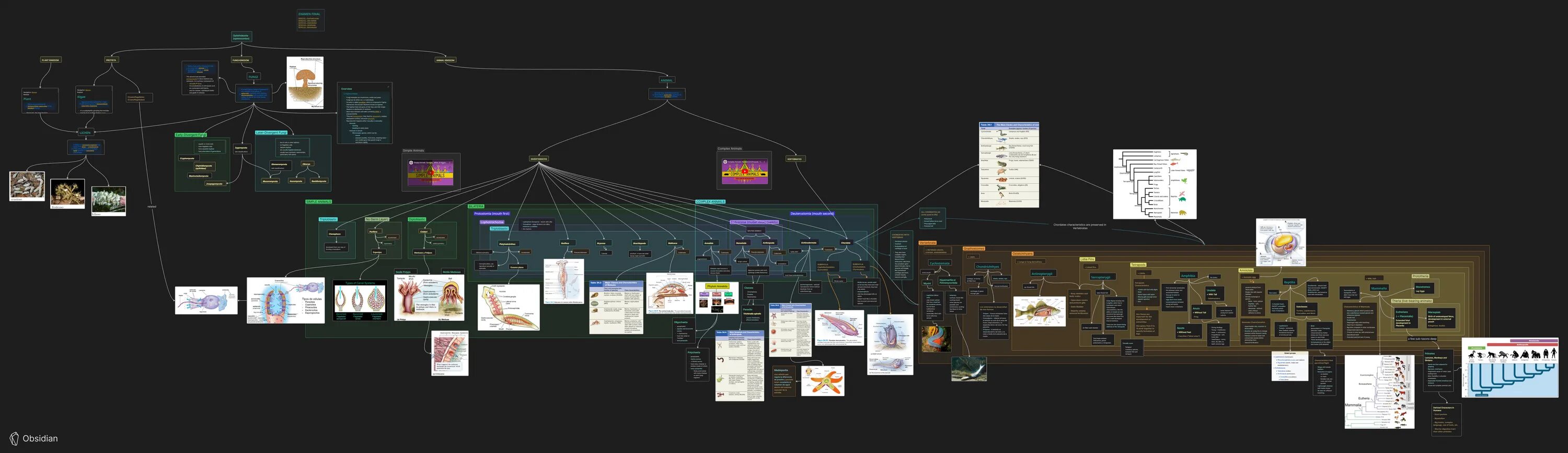 Mind map obsidian. Obsidian canvas. обсидиан мд. obsidian графы. obsidian canva.