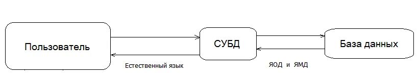 Данные пользователя s