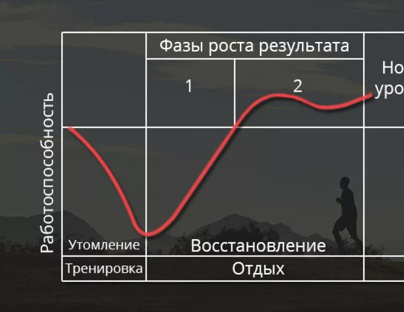 Как правильно восстанавливаться после. Процесс восстановления мышц. График восстановления мышц. Фазы восстановления мышц. Процесс восстановления после тренировки.