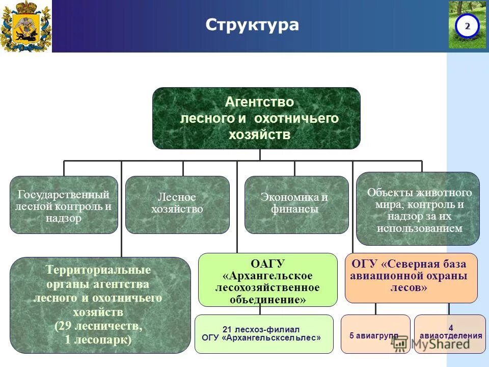государственный лесной контроль и надзор