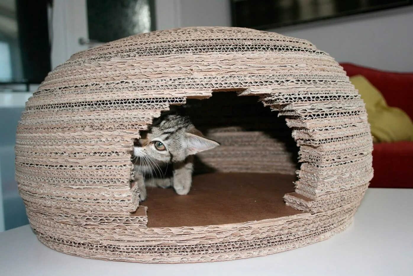 Как сделать дом котика. Домик для кота. домик для кошки из коробок. домик для кошки из гофрокартона. домик для кошки из картона.