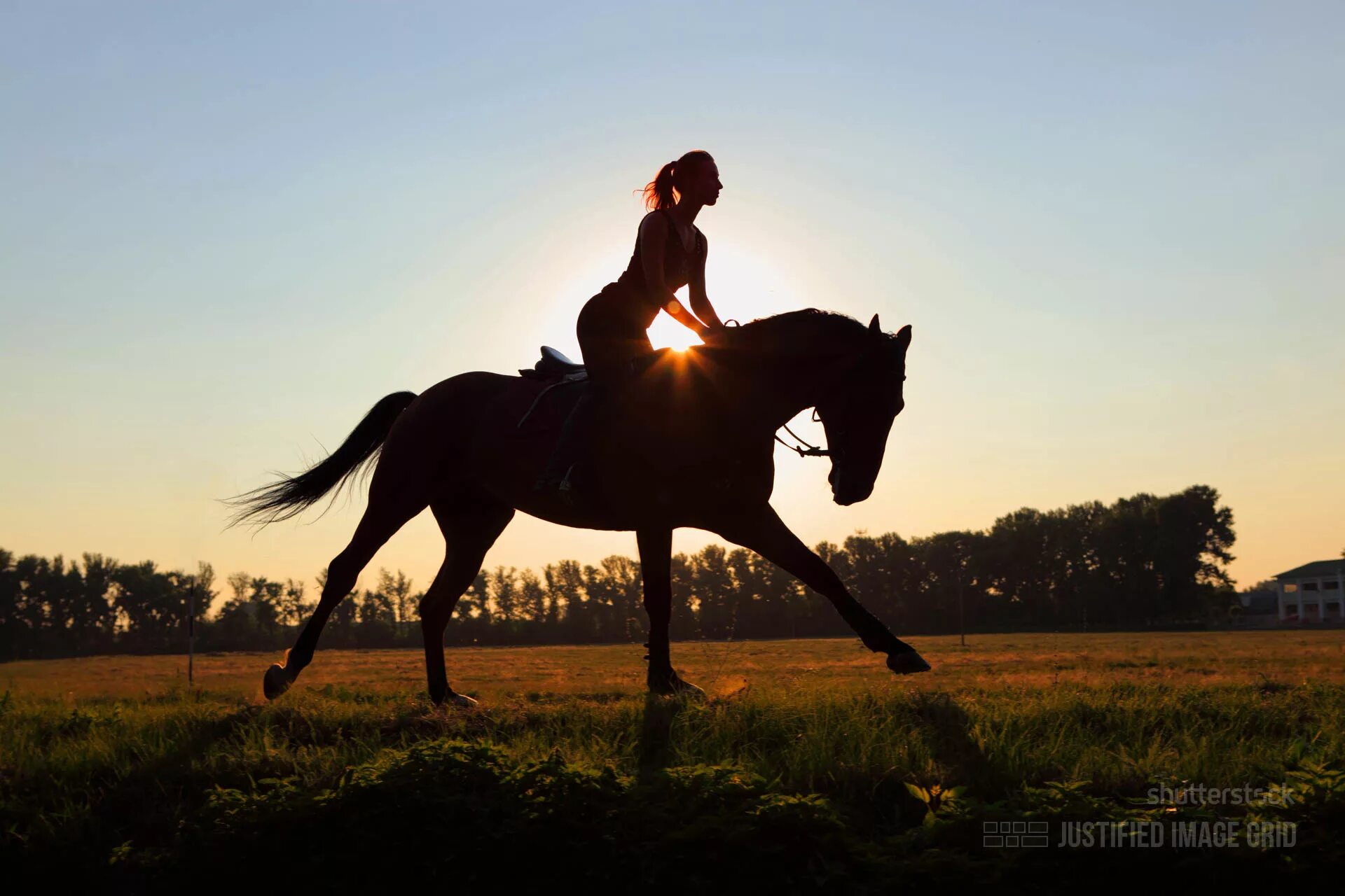 The horse rider