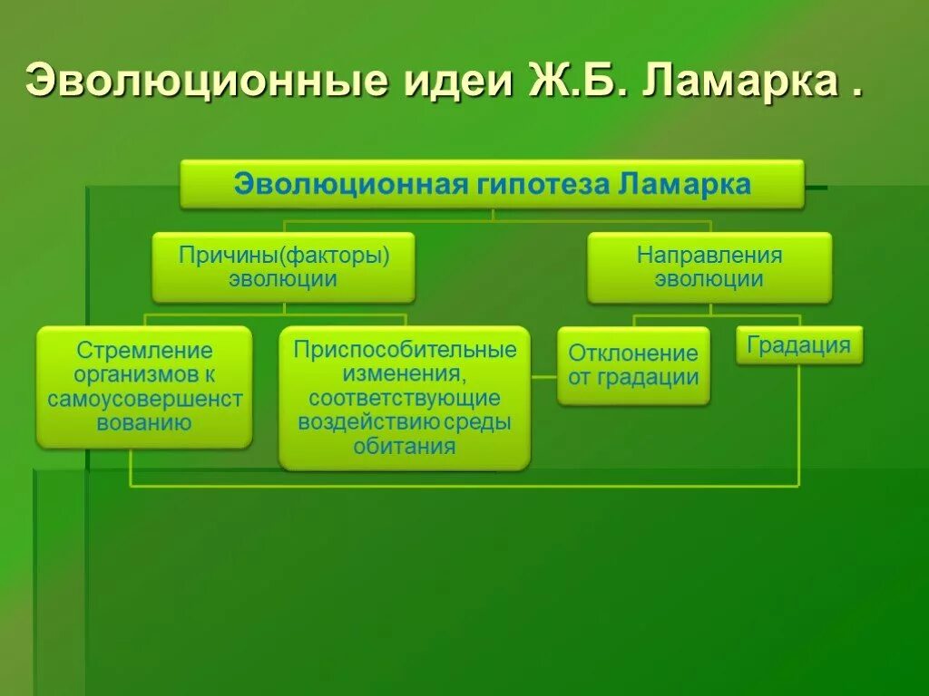 Эволюционные идеи ж ламарка. Эволюционные идеи Ломарк. Эволюционные идеи ж б Ламарка. Факторы эволюции Ламарка. Идеи Ламарка об эволюции.