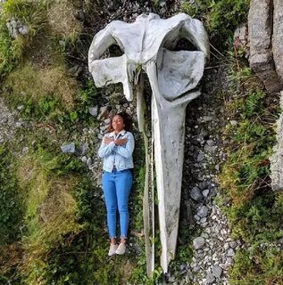 Самое интересное что есть в мире