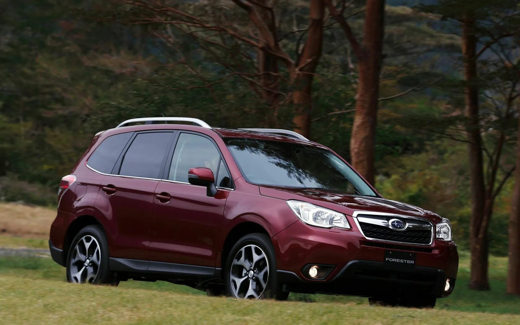 Тест драйв субару форестер. Субару Форестер 2013. Субару Forester 2013. Subaru Forester (2013-2014. Subaru Forester 2021.