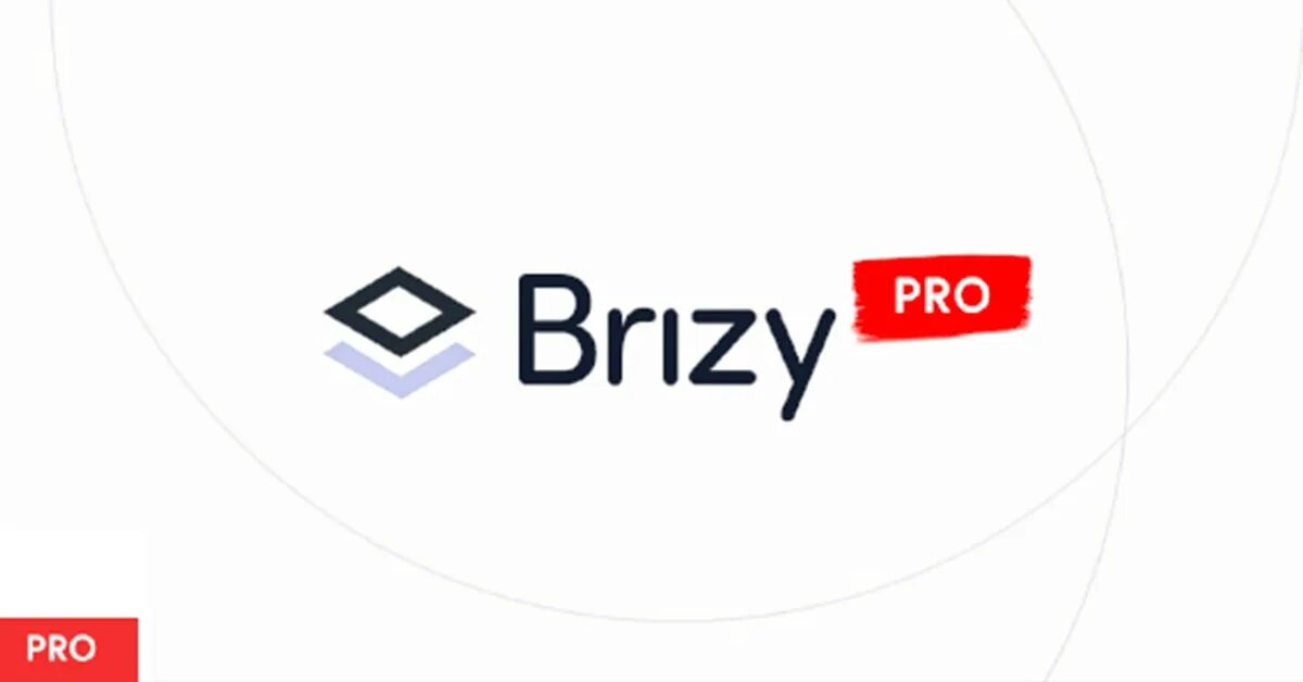 Brizy. Brizy Page Builder. Brizy Pro логотип WORDPRESS. Pro сайт производителя