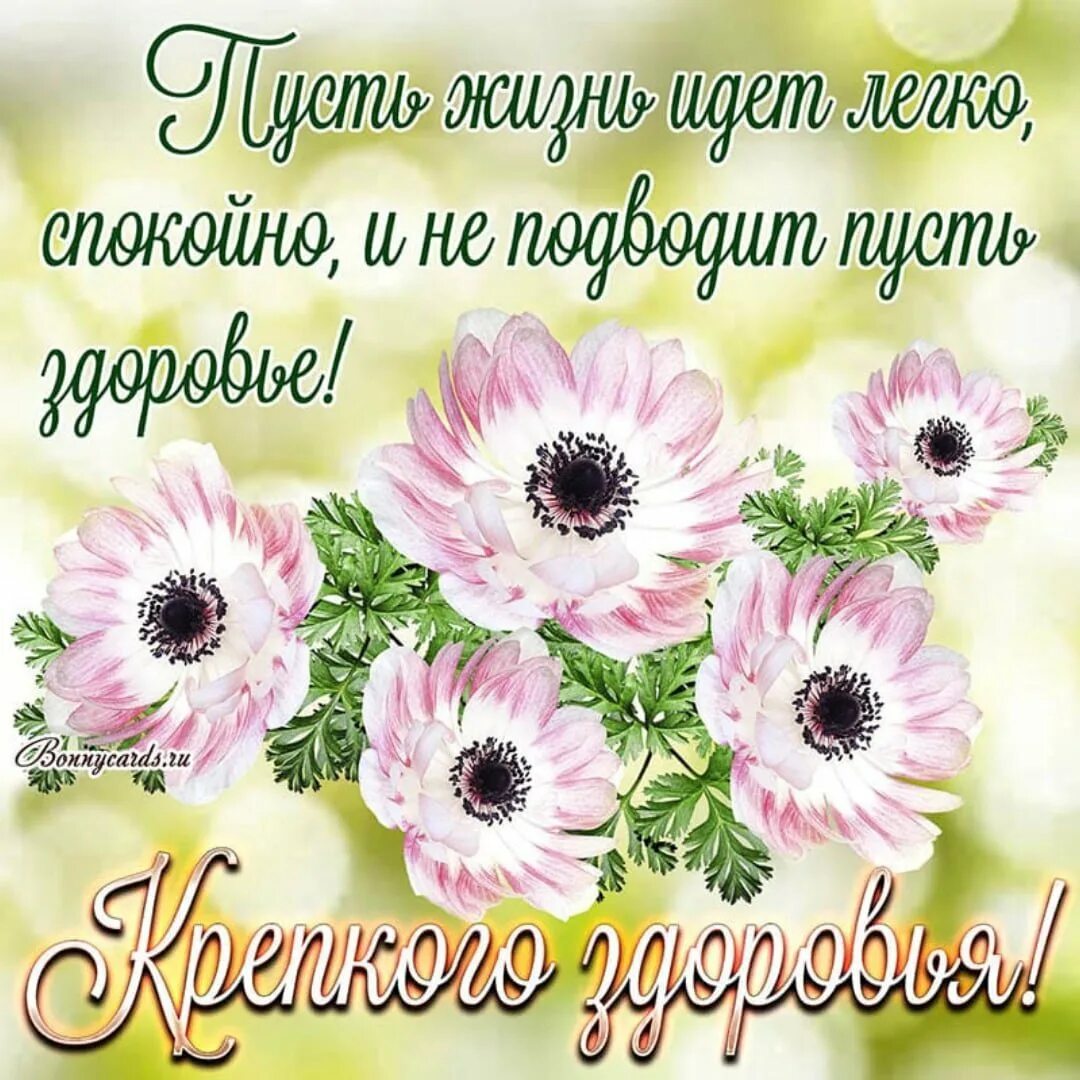 Открытки с пожеланиями здоровья. Открытки хорошего дня крепкого здоровья. Открытки хорошего дня с фруктами. Здоровья и хорошего настроения. Открыточки с пожеланием здоровья.