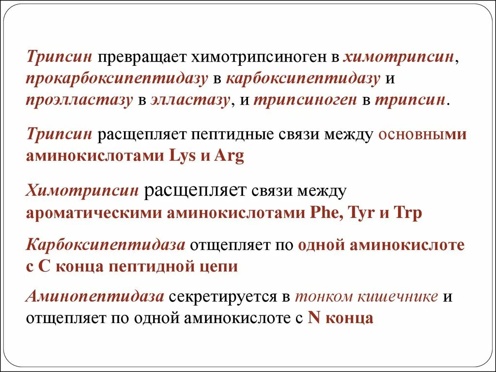 Трипсин расщепляет пептидные связи. Трипсин расщепляет. Карбоксипептидаза а расщепляет пептидные связи. Трипсин фермент расщепляет.