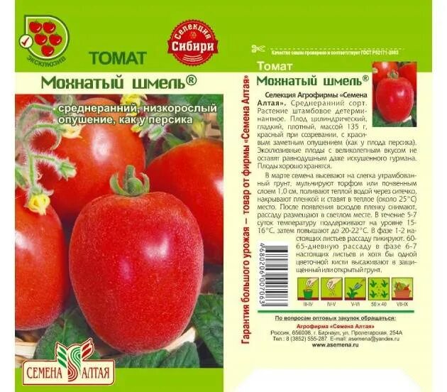 Топ модель сорт топ модель томаты характеристика. Томат мохнатый шмель семена алтая. шмель семена алтая томат. мохнатый шмель сорт помидоров. томат мохнатый шмель томат мохнатый шмель описание сорта.