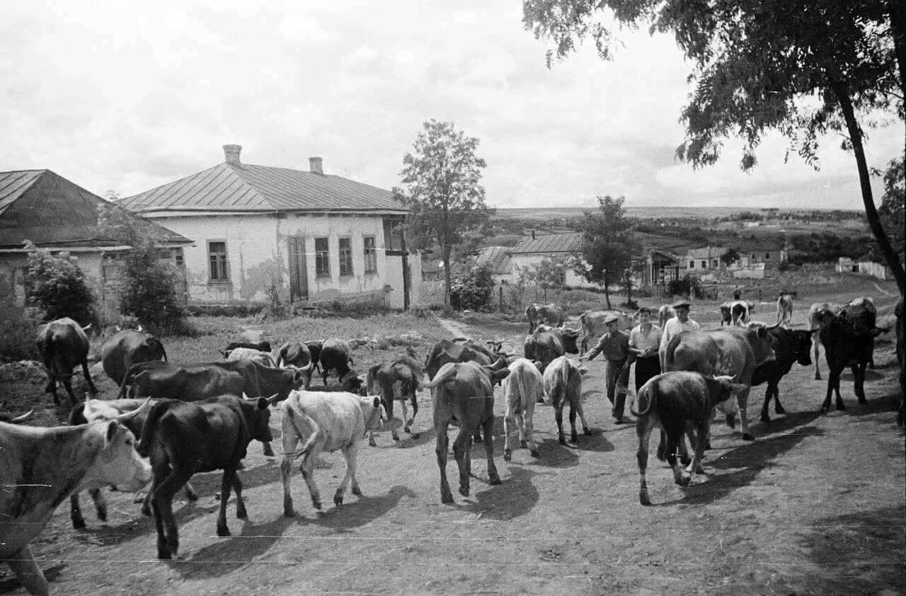 Village 60. Алтайский край сельское хозяйство 19 век. 1950 Советская деревня. СССР 50-Х В деревне. СССР 70е деревня.