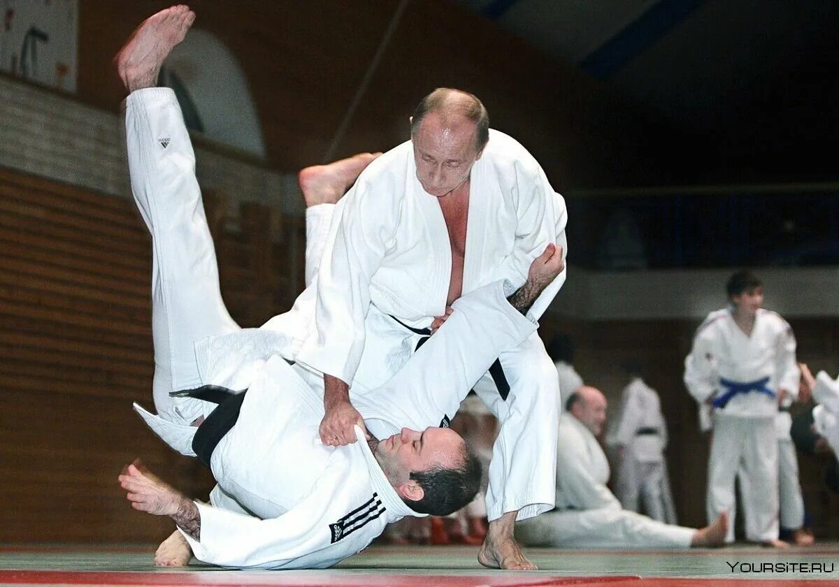 Тхэквондо, дзюдо или самбо. Самбо или тхэквондо. Владимир владимирович дзюдо. Анатолий рахлин. Путин владимир владимирович дзюдо.