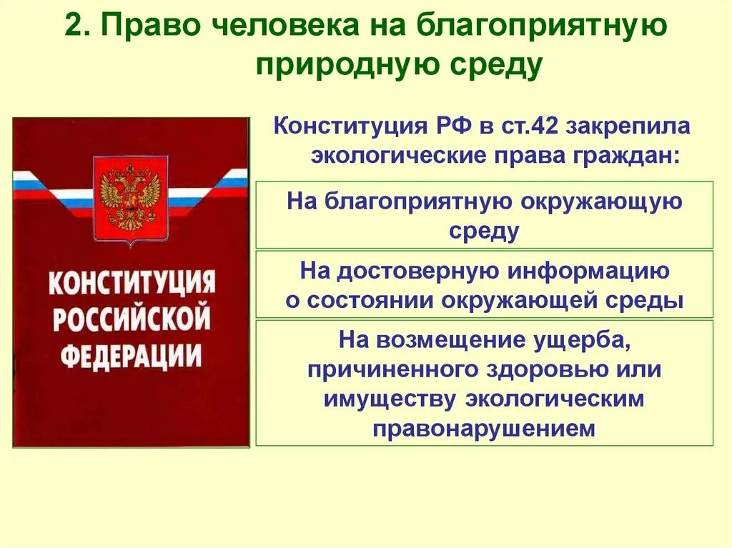 Общественные объединения в конституции рф. Экологическое право гражданина РФ.