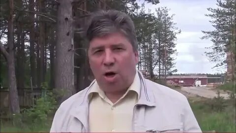 Погода янега