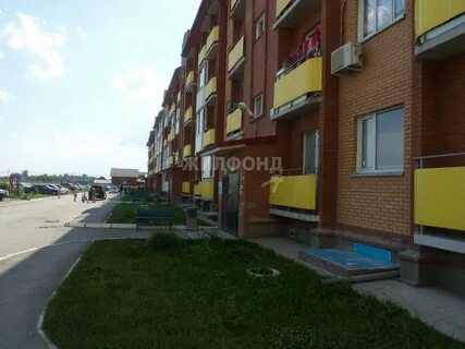 Авито квартиры обь