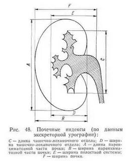 Почечный индекс