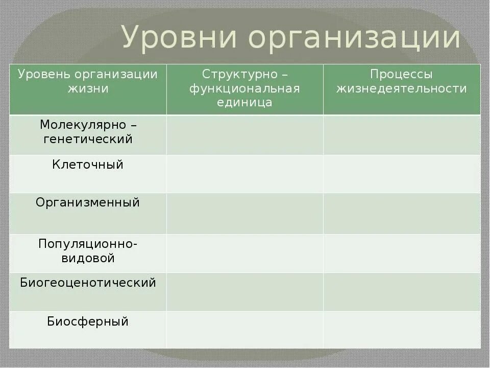 Заполните таблицу уровни организации. Уровни организации жизни биология таблица. структурные уровни организации жизни на земле. уровни организации жизни процессы жизнедеятельности. структурные уровни организации жизни.