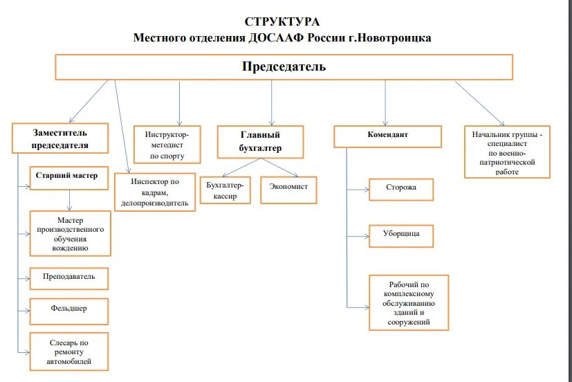 Организационная структура автошколы схема. ДОСААФ структура организации. Организационная структура ДОСААФ. Структура местного самоуправления Барнаула.