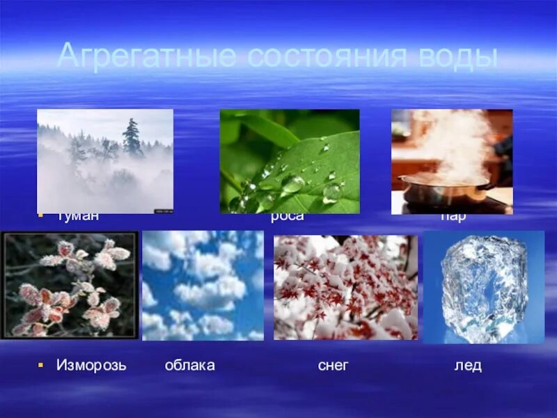 В каких трех состояниях может находиться вода: найдено 83 изображений