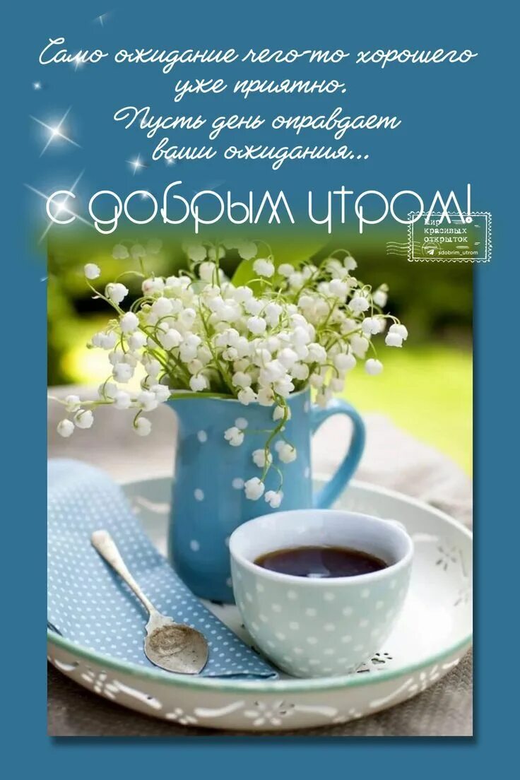 Картинки доброе утро и умные пожелания. Открытки с добрым утром. Пожелания с добрым весенним утром. Открытки с добрым утром весенние. Позитивные пожелания с добрым весенним утром