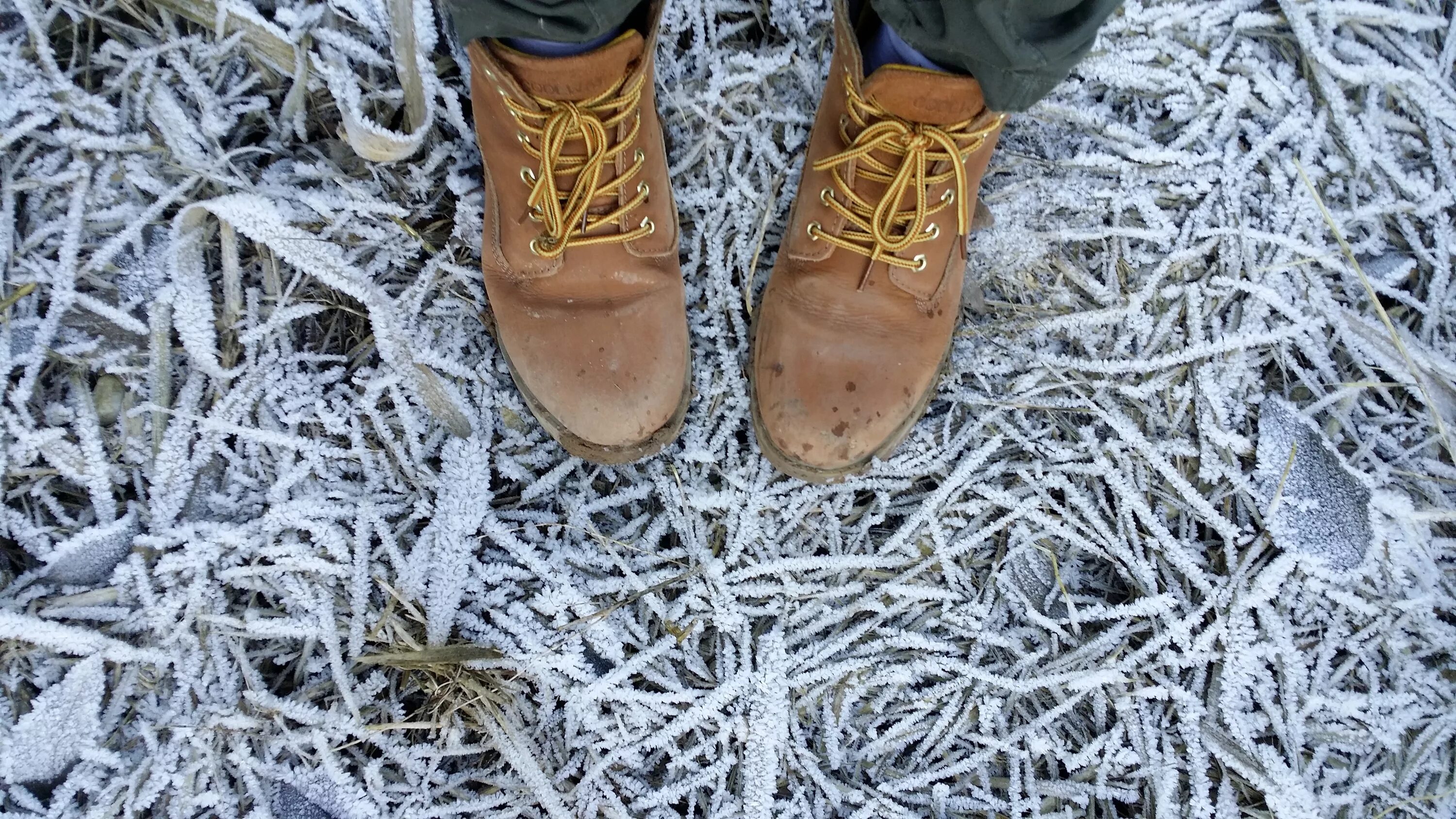 В сильный мороз ноги. Обувь в снегу. Заснеженные ботинки. Ноги в валенках на снегу. Мокрые ботинки зимой.