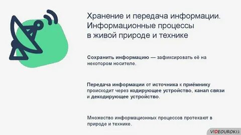 Информационные процессы в живой природе обществе технике