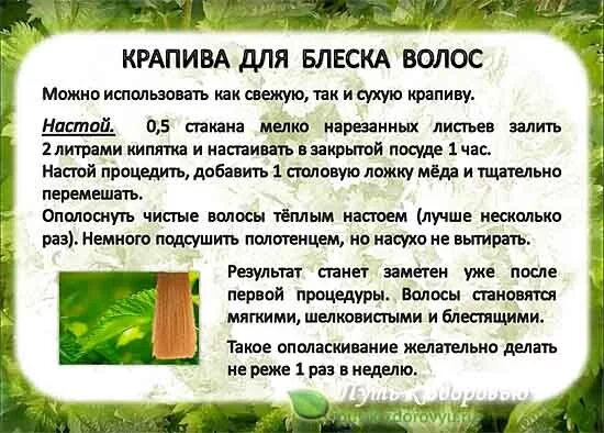 Крапива для волос ополаскивание. Настой крапивы для ополаскивания волос. Отвар из крапивы для волос. Маска из крапивы для роста волос. Крапива от выпадения