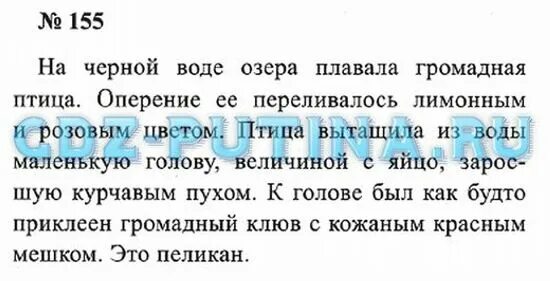 Оперение ее переливалось лимонным и розовым цветом. На черной воде озера плавала громадная. На чёрной воде плавала громадная птица разбор предложения. На чёрной воде озера плавала громадная птица разобрать предложение. На чёрной воды озеро плавала грамотная птица.