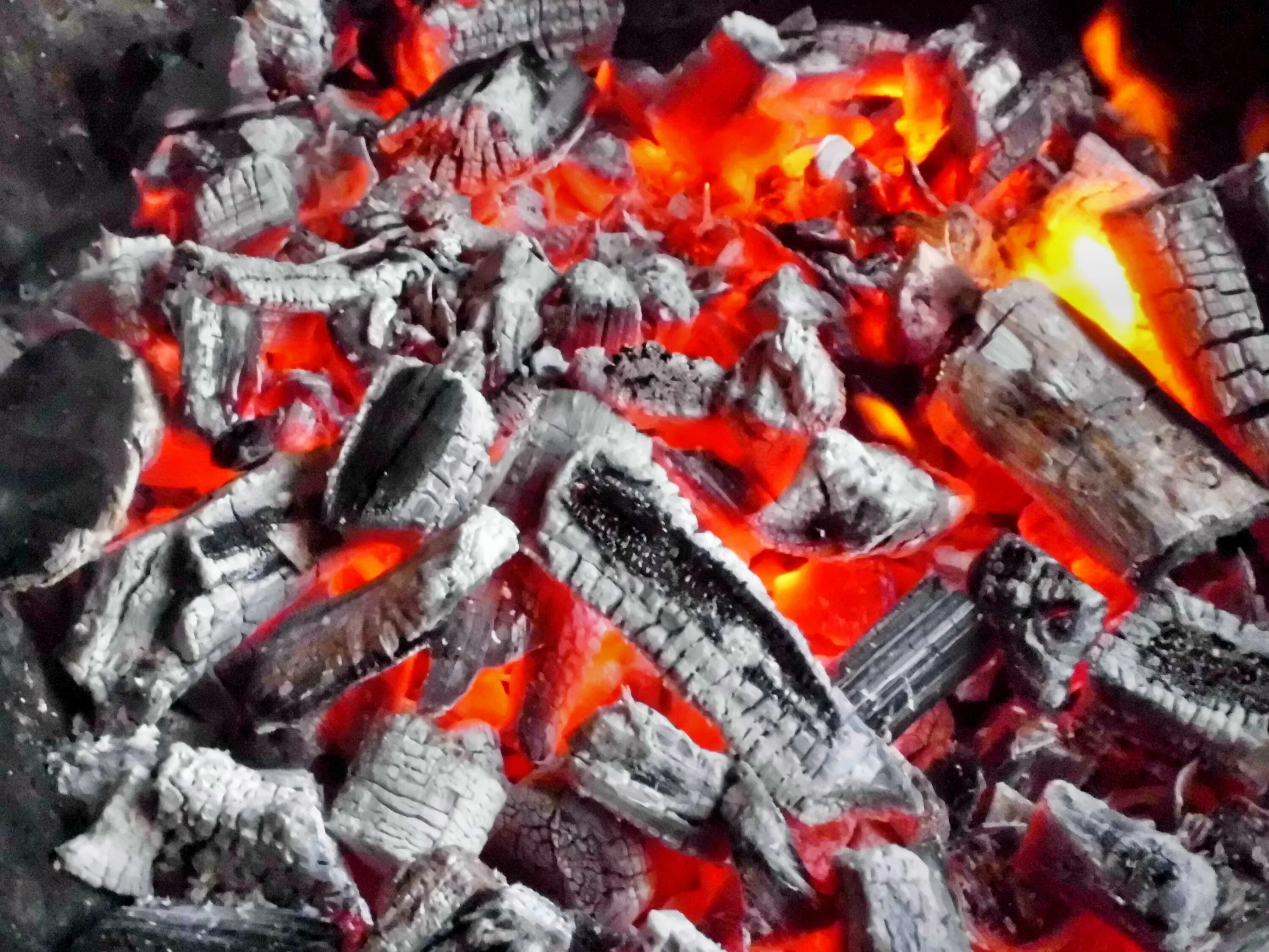 Swallow coals