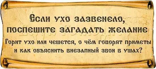 Почему звенит в ушах приметы. Молитва для огорода от сглаза и порчи. Заговор для огорода от порчи и сглаза. Заговор от сглаза огорода. Заговоры на огород.