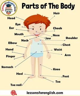 Parts of the world in english