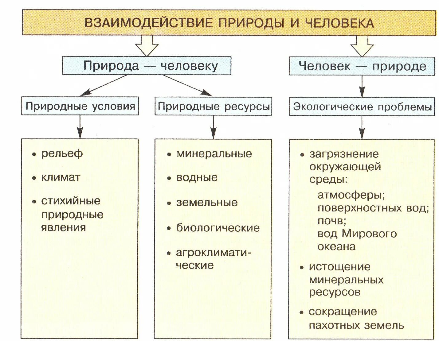 Человек природа взаимосвязь пример