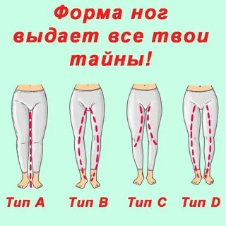 Какая ножка какая нога