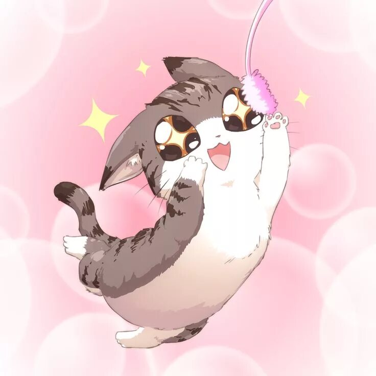 Cat edits