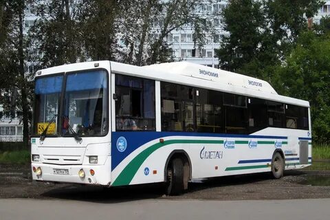 31 автобус уфа