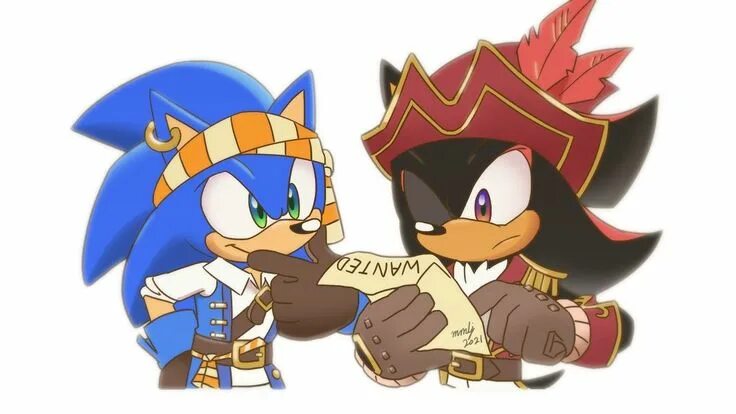 Pirate sonic. Соник пират и шедоу пират. соник и шедоу пираты. шедоу капитан пират. sonic dash пират пират.