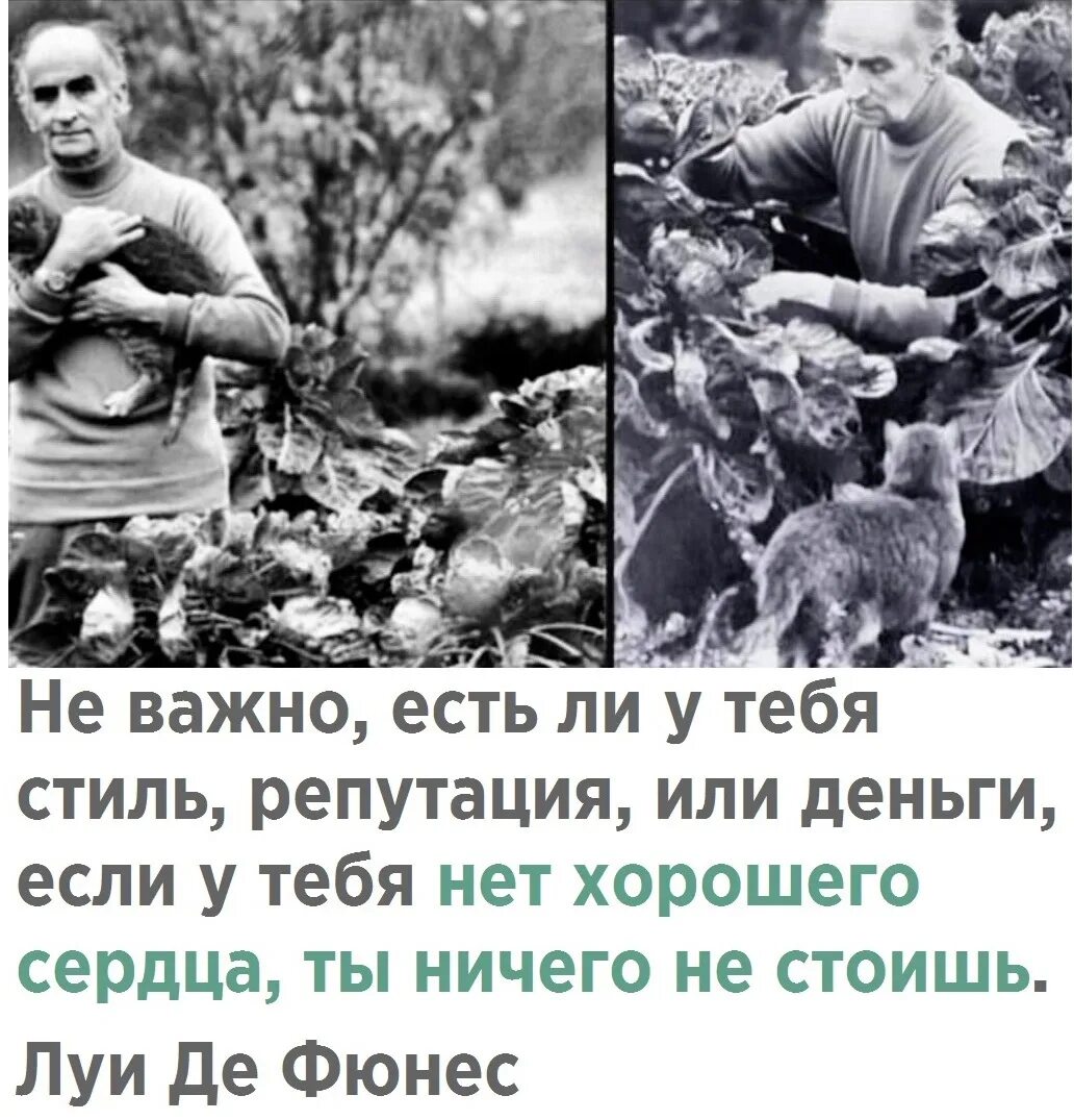 Не важно что есть и сколько. Когда-нибудь каждый поймет. неважно есть ли у тебя стиль репутация или деньги. неважно есть ли у тебя стиль. не важно есть у тебя стиль репутация.