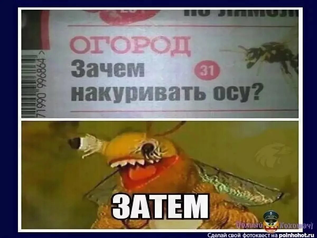 Зачем кот. Зачем мем. Затем кот. Затем оса. Зачем накуривать пчелу деревня дураков.
